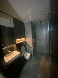 Irwell Hill Residences (D9), Apartment #549536801